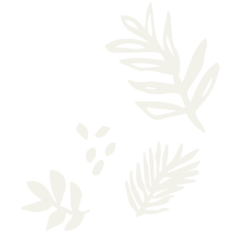 AD_Plants-BG_01