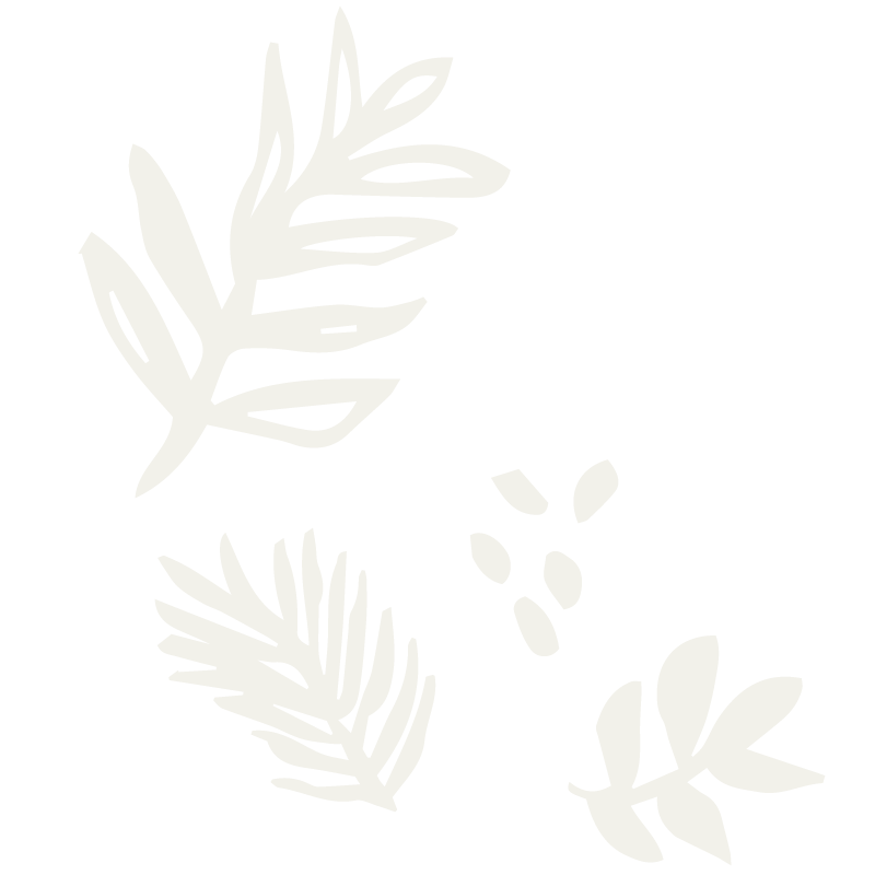 AD_plants-BG_02