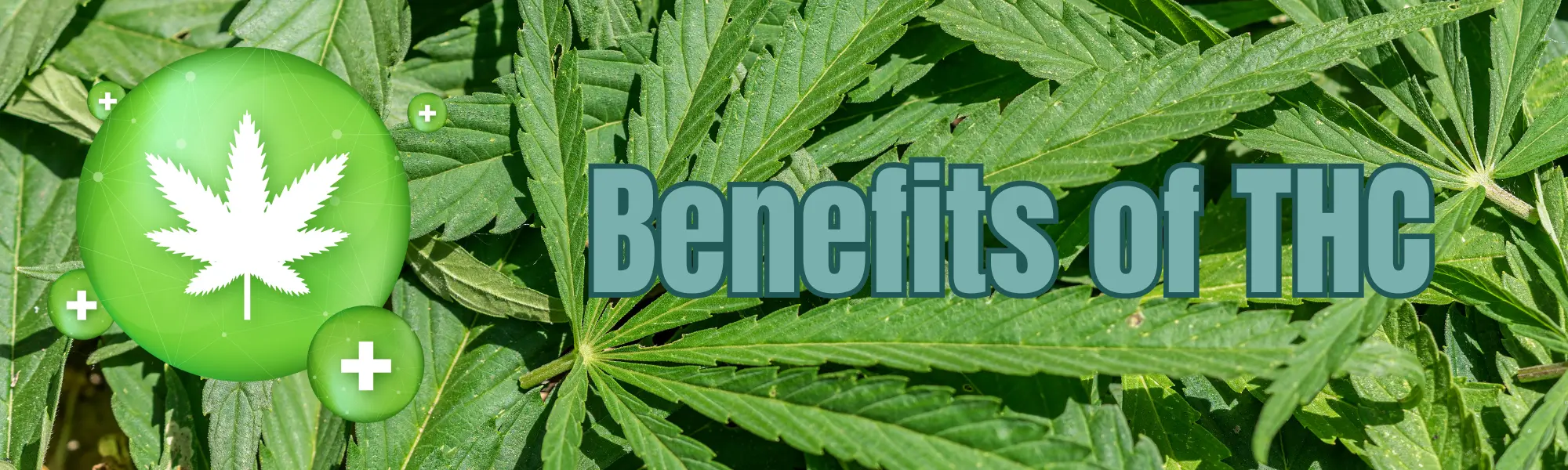 Benefits of THC Banner