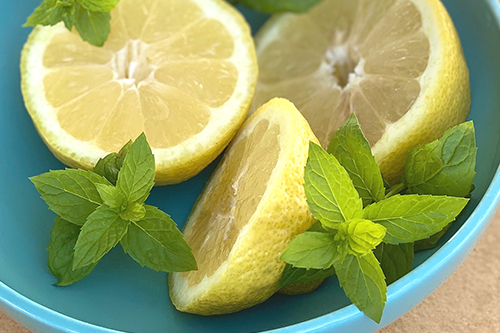 lemons+mint_500x333